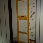 IMG_20200917_094904605